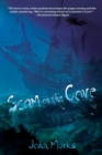 Scam on the Cove - Book