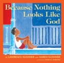 Because Nothing Looks Like God - Book