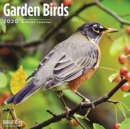 GARDEN BIRDS WALL CALENDAR 2020 - Book