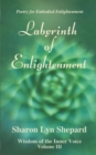 Labyrinth of Enlightenment, Wisdom of the Inner Voice Volume III - Book