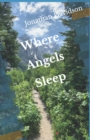 Where Angels Sleep - Book
