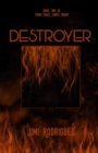 From Chaos Comes Order : Book Two: Destroyer - Book