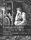 Essays in Little : Large Print - Book