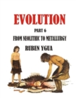 From Neolithic to Metallurgy : Evolution - Book