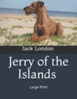 Jerry of the Islands : Large Print - Book