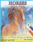 Horses Jumbo Adult Coloring Book - Horses and Ponies Grazing and Racing Color By Number - Book