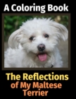 The Reflections of My Maltese Terrier : A Coloring Book - Book