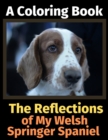 The Reflections of My Welsh Springer Spaniel : A Coloring Book - Book