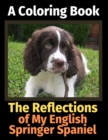 The Reflections of My English Springer Spaniel : A Coloring Book - Book