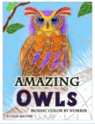 Amazing Owls Mosaic Color by Number : Adult Coloring Book For Stress Relief and Relaxation - Book
