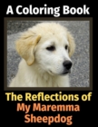 The Reflections of My Maremma Sheepdog : A Coloring Book - Book