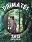 Primates 2021 Calendar - Book