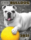 The Bulldog 2021 Calendar - Book