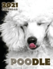 Poodle 2021 Calendar - Book