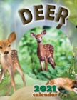Deer 2021 Calendar - Book