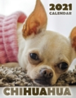 Chihuahua 2021 Calendar - Book