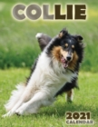 Collie 2021 Calendar - Book