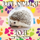 Baby Animals! 2021 Mini Wall Calendar - Book