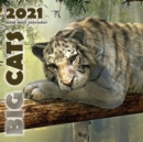 Big Cats 2021 Mini Wall Calendar - Book