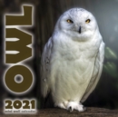 The Owl 2021 Mini Wall Calendar - Book