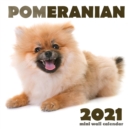 Pomeranian 2021 Mini Wall Calendar - Book