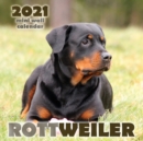 Rottweiler 2021 Mini Wall Calendar - Book