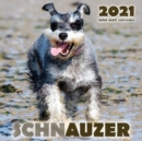 Schnauzer 2021 Mini Wall Calendar - Book