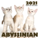 Abyssinian 2021 Mini Cat Calendar - Book