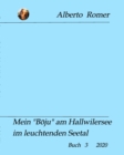 Mein "B?ju" am Hallwilerseeim leuchtenden Seetal : Buch 3 2020 Alberto Romer - Book