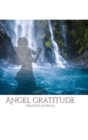 Angel waterfall nature gratitude creative journal : Angel nature gratitude journal sir Michael Huhn - Book