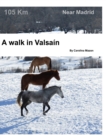 A walk in Valsa?n : Near Madrid - Book