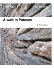 A walk in Patones : Near Madrid - Book