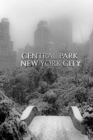 Central park Bridge New York City snow Winter Blank Journal $ir Michael Huhn designer edition : cental park New York City Winter wounderland Blank Journal - Book