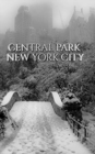 Central park Bridge New York City snow Winter Blank Journal $ir Michael Huhn designer edition : cental park New York City Winter wounderland Blank Journal - Book
