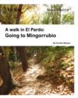 A walk in El Pardo : Camino de Mingorrubio: Near Madrid - Book
