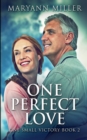 One Perfect Love (One Small Victory Book 2) - Book