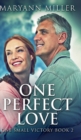 One Perfect Love (One Small Victory Book 2) - Book