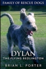 Dylan - The Flying Bedlington : Large Print Edition - Book