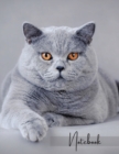 Notebook : Unlined - Plain Notebook - Blank Journal - 130 Pages - Large Format 8.5 x 11 in - Workbook - Composition - Cats - British Shorthair Cover Design - Book