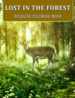 Lost In The Forest : Wildlife Coloring Book - Beautiful Forest Animals, Insects, Plants and Birds - Book