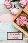 Gratitude Planner for teens and adults - Book