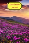 Gratitude Iournal for teens and adults - Book
