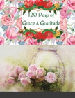 120 Days of Grace & Gratitude : A Devotional Journal - Book