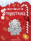 Count Down To Christmas - Book