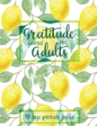 Gratitude Journal for Adults - Book