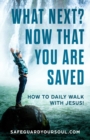 What Next? Now that You Are Saved : How to Daily Walk with Jesus - Book