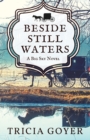 Beside Still Waters : A Big Sky Novel - Book