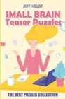 Small Brain Teaser Puzzles : Domino Hunt Puzzles - The Best Puzzles Collection - Book