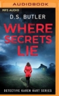 WHERE SECRETS LIE - Book