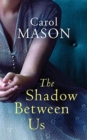 SHADOW BETWEEN US THE - Book